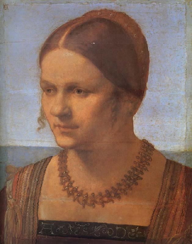 Albrecht Durer A Venetian lady oil painting image